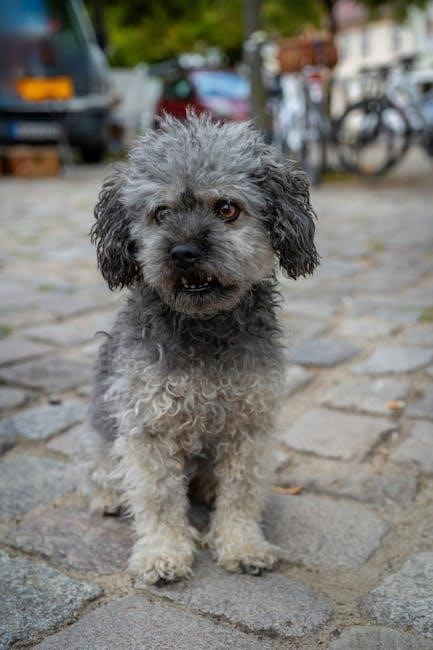 hills puppy food feeding guide
