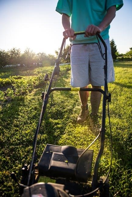 powersmart 209cc lawn mower manual powersmart 209cc lawn mower manual