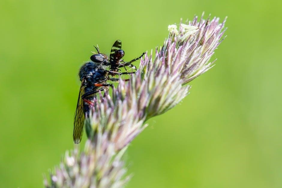 isuzu d-max owners manual australia pdf free download isuzu d-max owners manual australia pdf free download